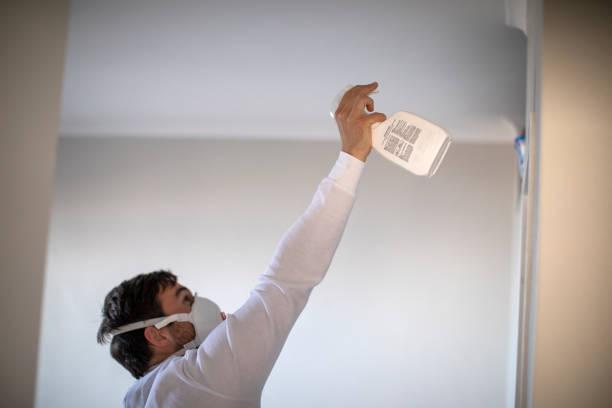 Best Local Mold Removal Service  in Maryville, MO