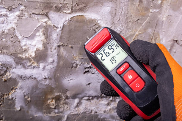 Best Mold Testing  in Maryville, MO