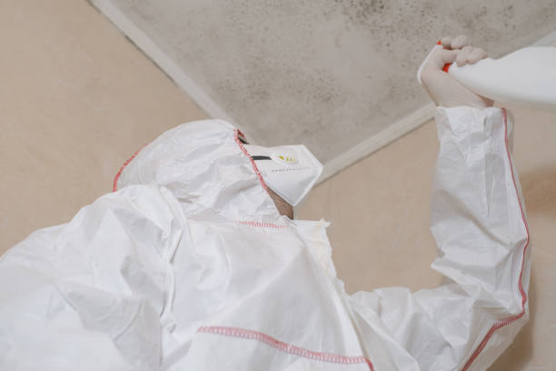 Best Home Mold Removal  in Maryville, MO